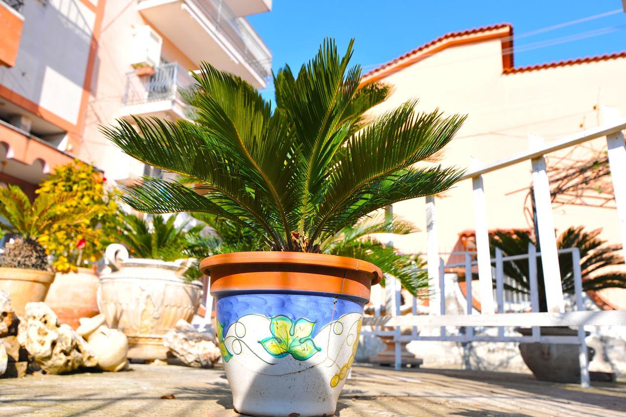 B&B Le Cycas Castellammare di Stabia Exterior photo