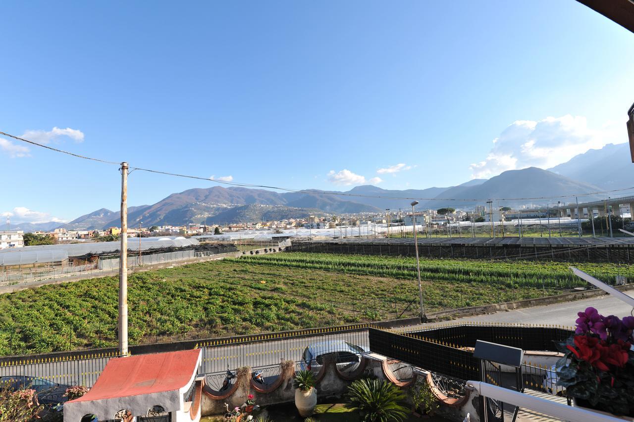 B&B Le Cycas Castellammare di Stabia Exterior photo