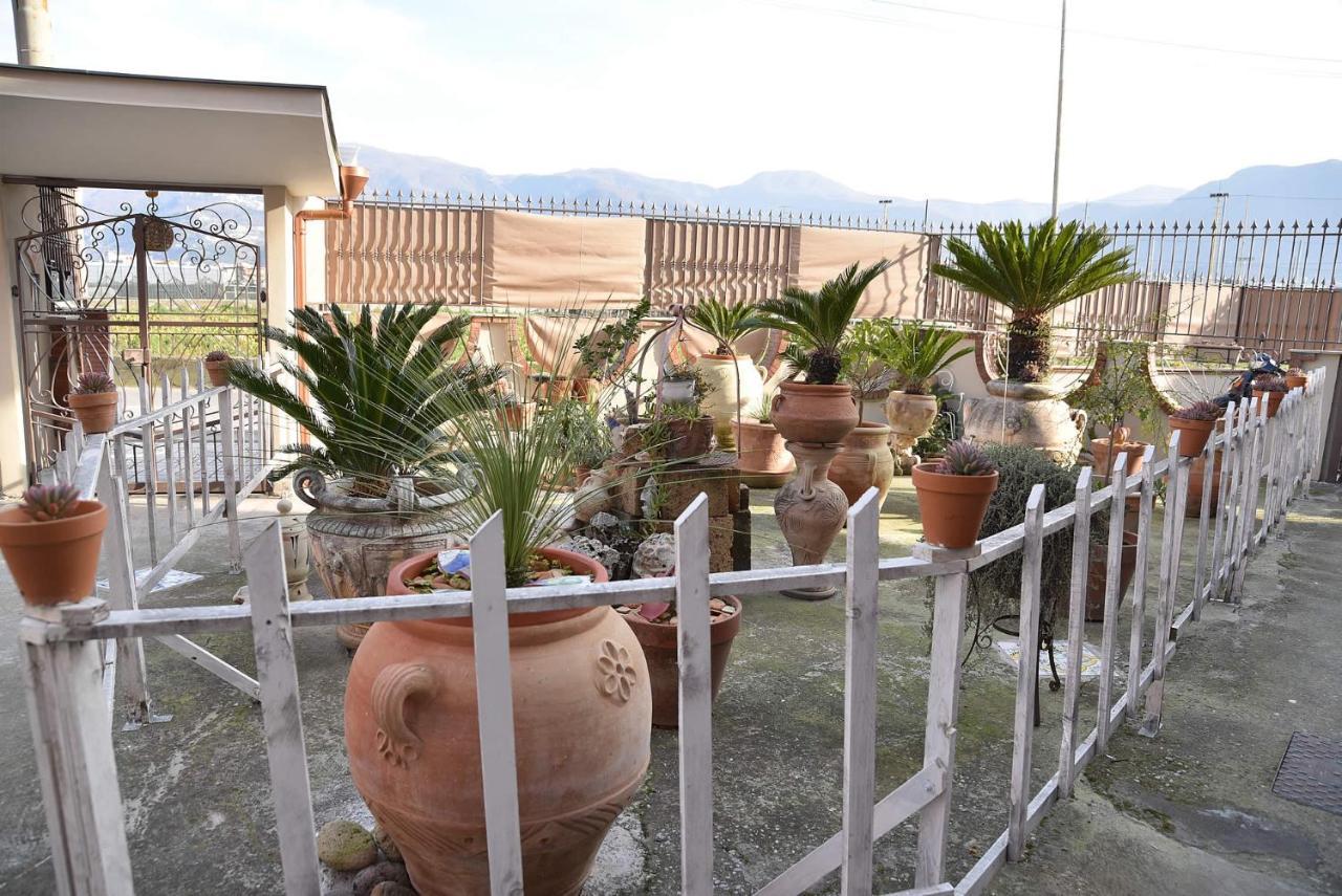 B&B Le Cycas Castellammare di Stabia Exterior photo